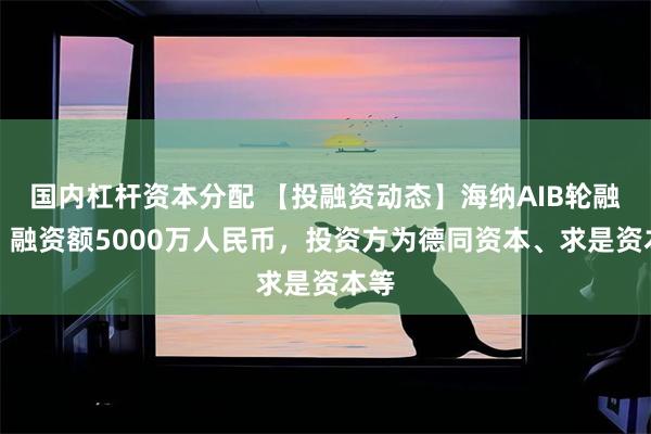 国内杠杆资本分配 【投融资动态】海纳AIB轮融资，融资额5000万人民币，投资方为德同资本、求是资本等