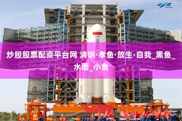 炒股股票配资平台网 清明·孝鱼·放生·自我_黑鱼_水面_小鱼
