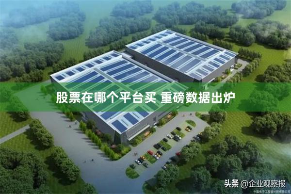 股票在哪个平台买 重磅数据出炉