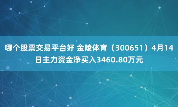 哪个股票交易平台好 金陵体育（300651）4月14日主力资金净买入3460.80万元