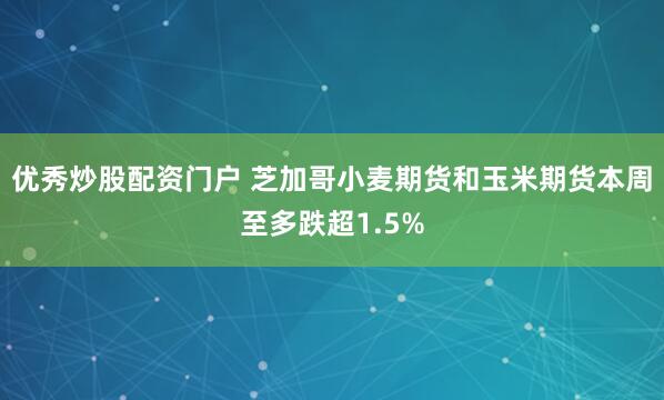 优秀炒股配资门户 芝加哥小麦期货和玉米期货本周至多跌超1.5%