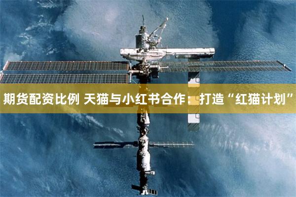 期货配资比例 天猫与小红书合作：打造“红猫计划”