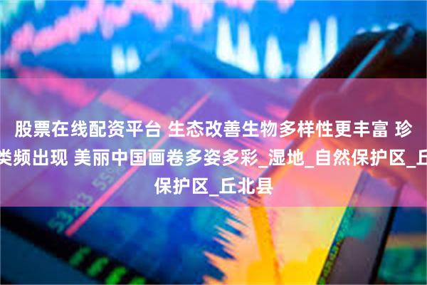 股票在线配资平台 生态改善生物多样性更丰富 珍稀鸟类频出现 美丽中国画卷多姿多彩_湿地_自然保护区_丘北县