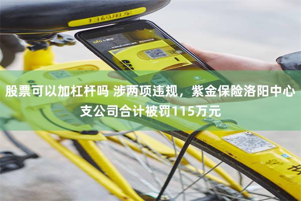 股票可以加杠杆吗 涉两项违规，紫金保险洛阳中心支公司合计被罚115万元