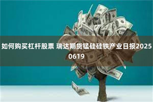 如何购买杠杆股票 瑞达期货锰硅硅铁产业日报20250619