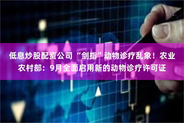 低息炒股配资公司 “剑指”动物诊疗乱象！农业农村部：9月全面启用新的动物诊疗许可证