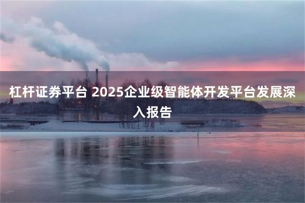 杠杆证券平台 2025企业级智能体开发平台发展深入报告
