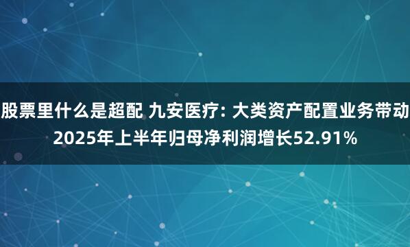 股票里什么是超配 九安医疗: 大类资产配置业务带动2025年上半年归母净利润增长52.91%