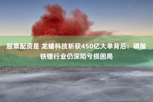 股票配资是 龙蟠科技斩获450亿大单背后:磷酸铁锂行业仍深陷亏损困局
