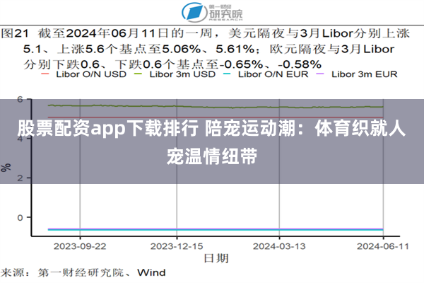 股票配资app下载排行 陪宠运动潮:体育织就人宠温情纽带