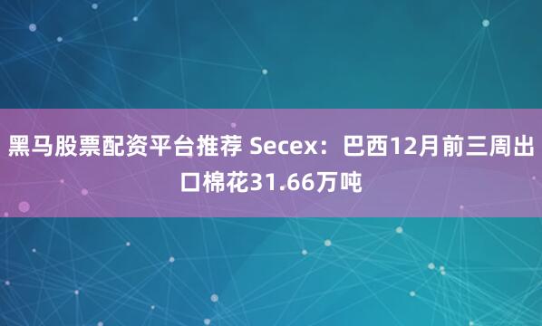 黑马股票配资平台推荐 Secex：巴西12月前三周出口棉花31.66万吨