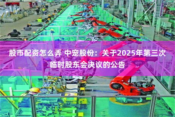 股市配资怎么弄 中宠股份：关于2025年第三次临时股东会决议的公告